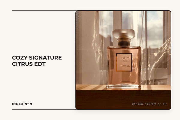 cozy signature citrus edt