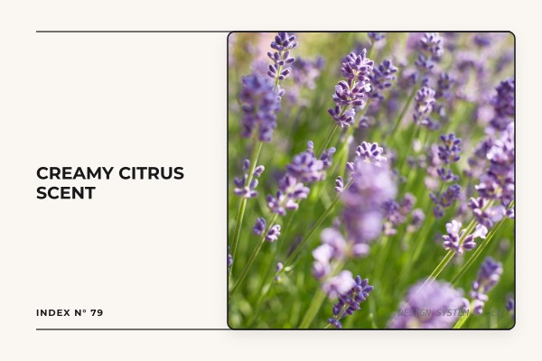 creamy citrus scent