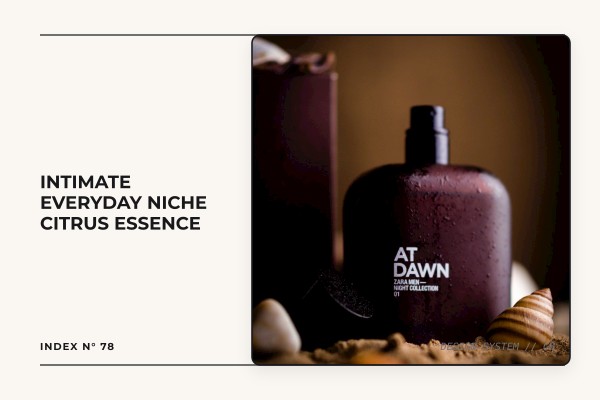 intimate everyday niche citrus essence
