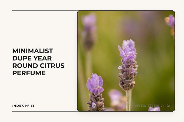 minimalist dupe year-round citrus perfume
